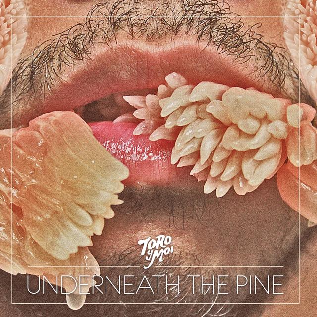 Album cover art for Underneath the Pine