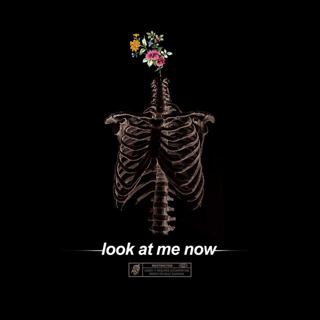 Album cover art for Look at Me Now