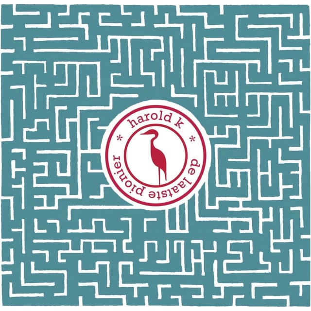 Album cover art for De Laatste Pionier