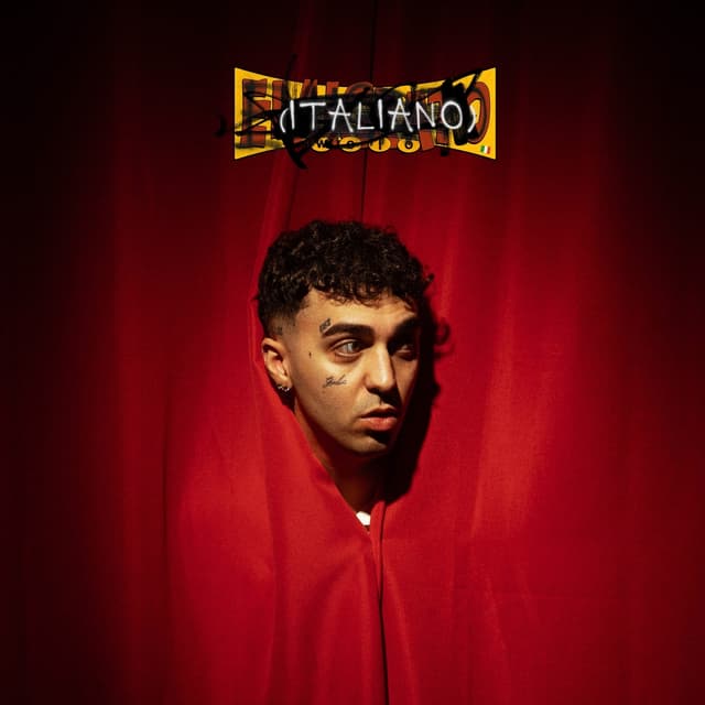 Album cover art for Emigrato (italiano)