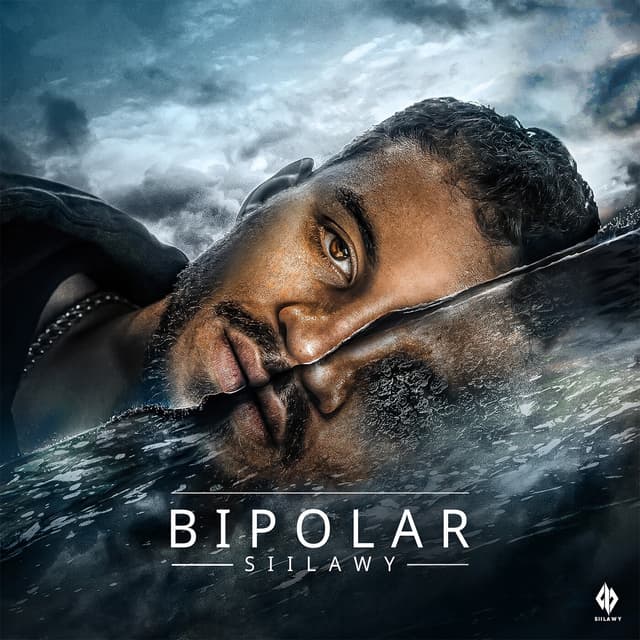 Album cover art for Bipolar