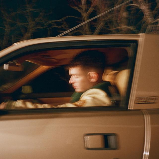 Album cover art for Amour, les prémices