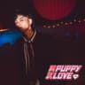 再次puppy love (Zai Cipuppy love)