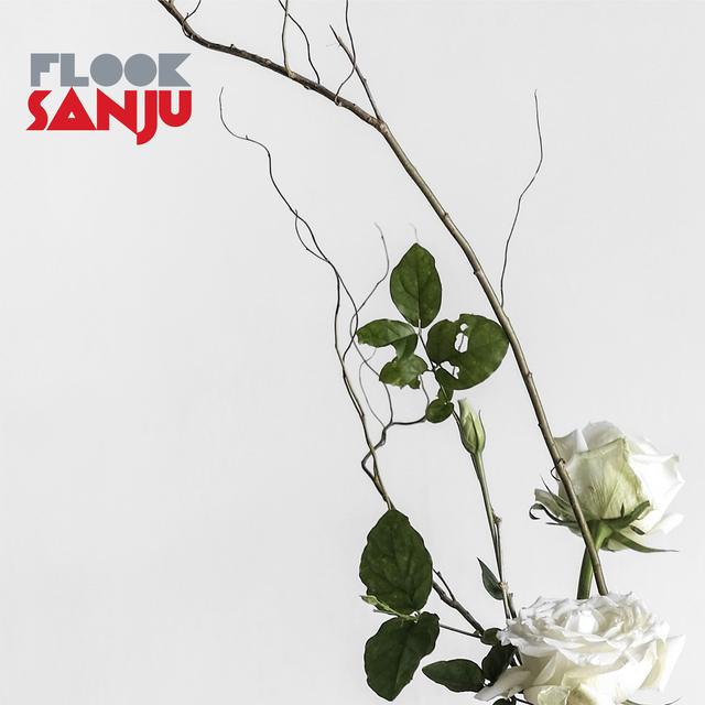 Album cover art for Sanju
