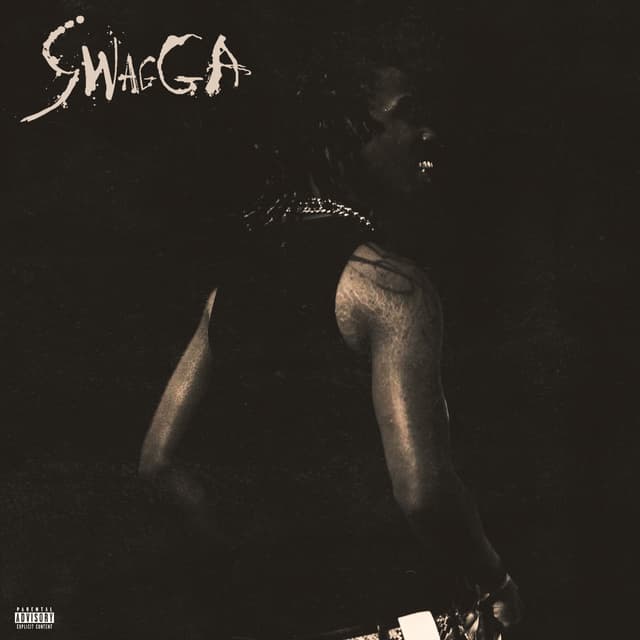 Album cover art for SWAGGA