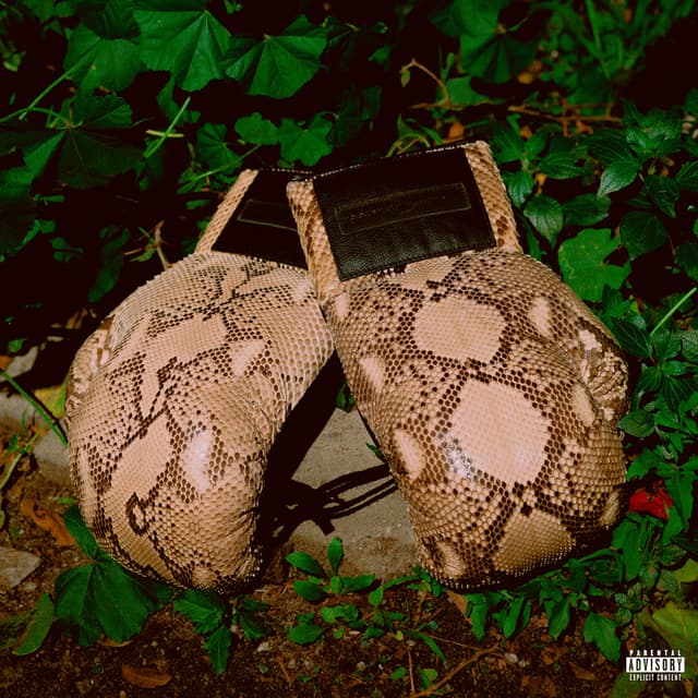 Album cover art for THEODORE & ANDRE