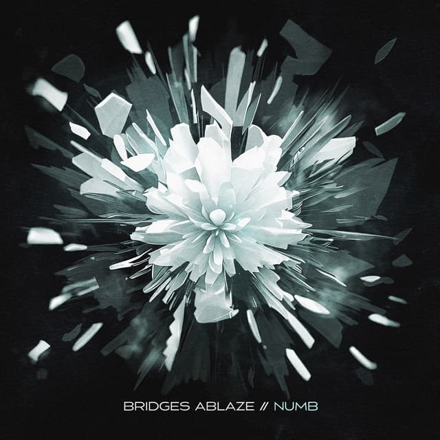 Album cover art for Numb
