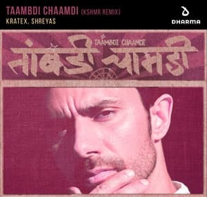 Album cover art for Taambdi Chaamdi (KSHMR remix)
