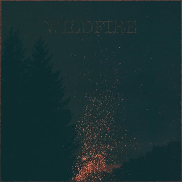 Album cover art for Wildfire