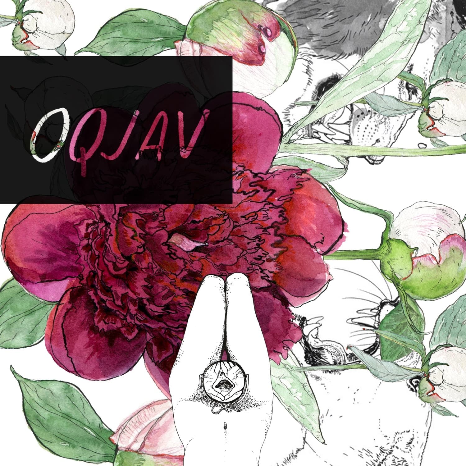 Lyric cover art