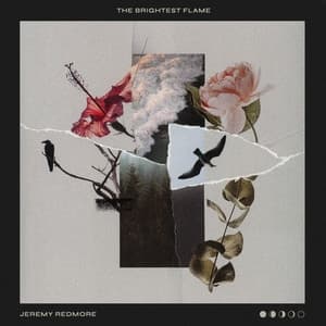 Album cover art for The Brightest Flame