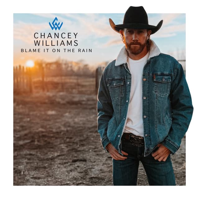 Album cover art for Blame It On the Rain