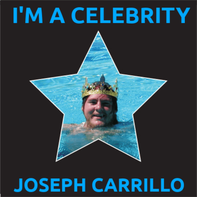 Album cover art for I'm A Celebrity