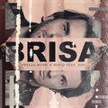 Album cover art for Brisa
