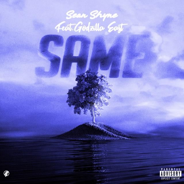Album cover art for Same