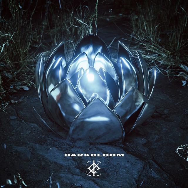 Album cover art for Darkbloom