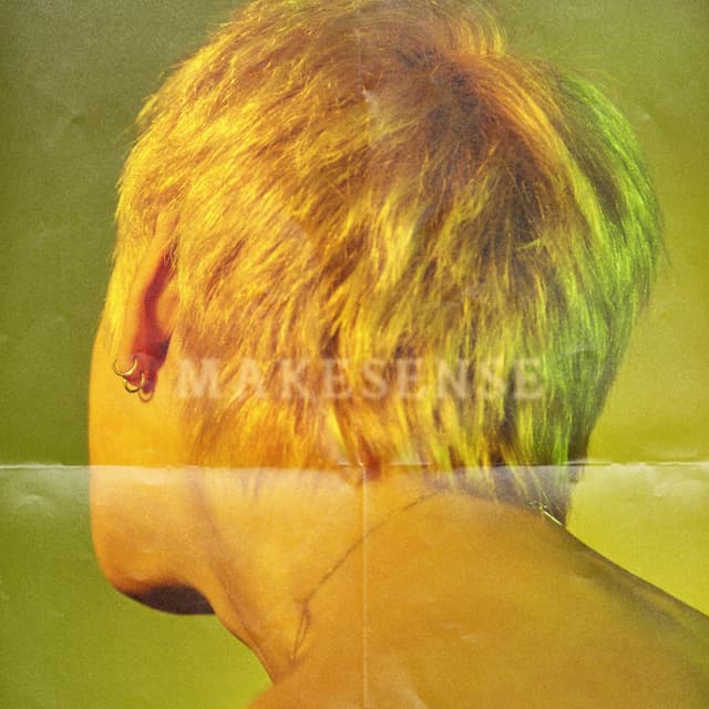 Album cover art for MAKESENSE