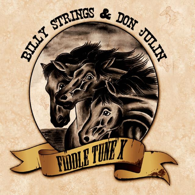 Album cover art for Fiddle Tune X