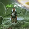 Big wire (Acoustic)
