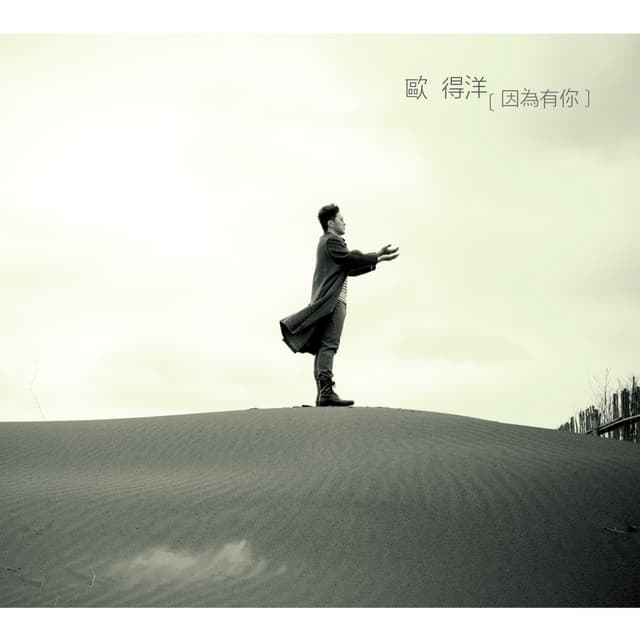 Album cover art for 因為有你