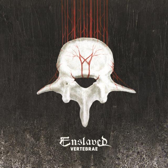 Album cover art for Vertebrae
