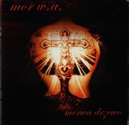 Morwa Drzewo