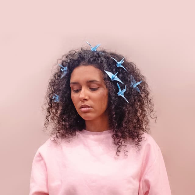 Album cover art for Passarinho