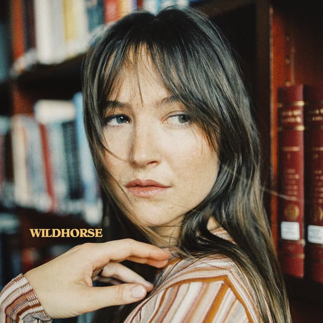 Album cover art for Wildhorse