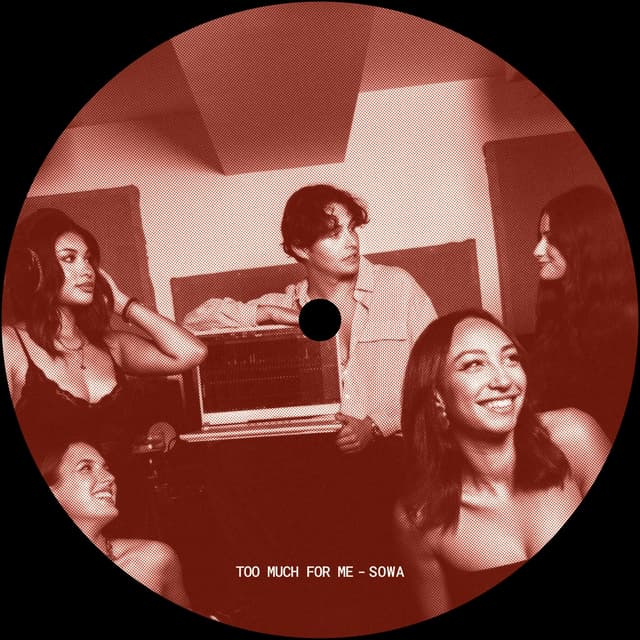 Album cover art for TOO MUCH FOR ME