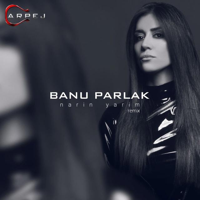Album cover art for Narin Yarim (Remix) - Single