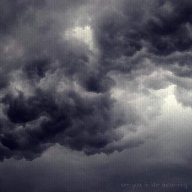 Album cover art for See You in the Mourning