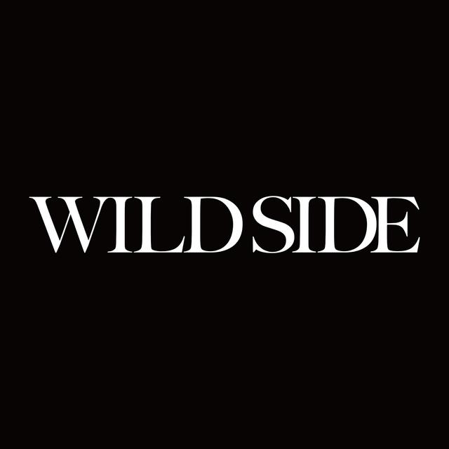 Album cover art for Wild Side