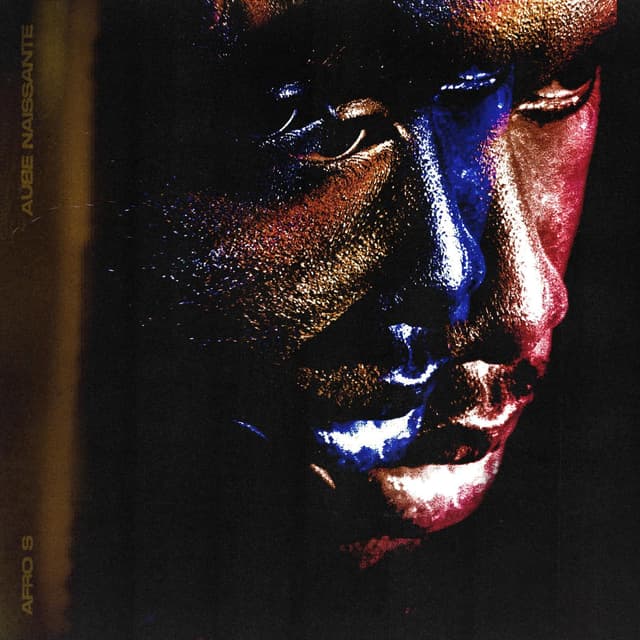Album cover art for A.N.T