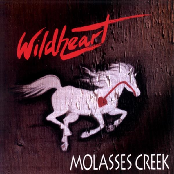 Album cover art for Wildheart