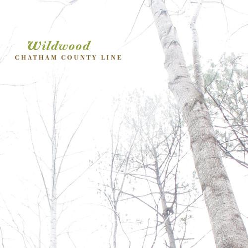 Album cover art for Wildwood