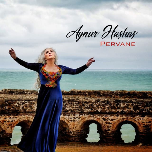 Album cover art for Pervane
