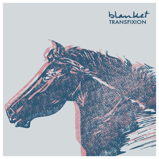 Album cover art for Transfixion