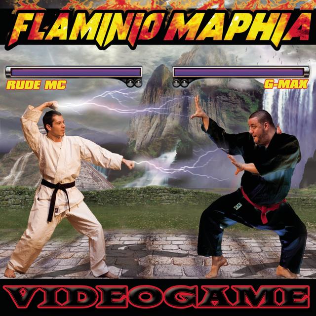 Album cover art for Videogame