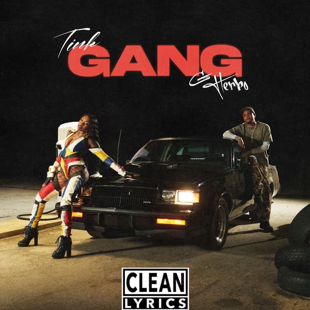 Album cover art for GANG