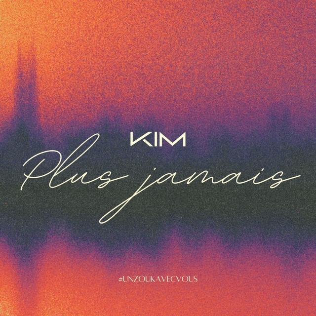 Album cover art for Plus jamais (#UnZoukAvecVous)
