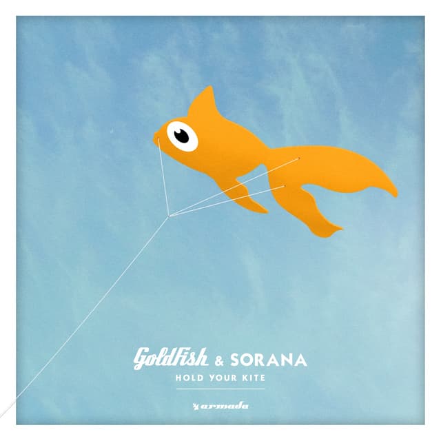 Album cover art for Hold Your Kite