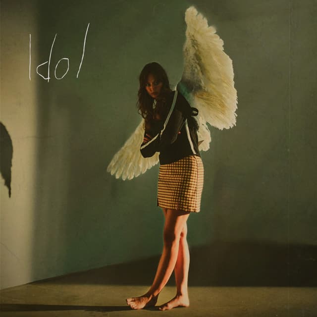 Album cover art for Idol