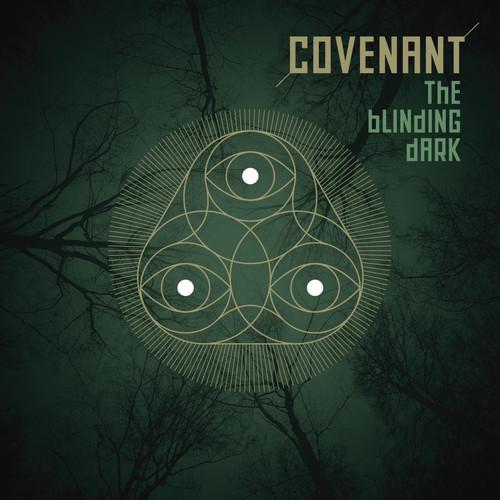 Album cover art for The Blinding Dark