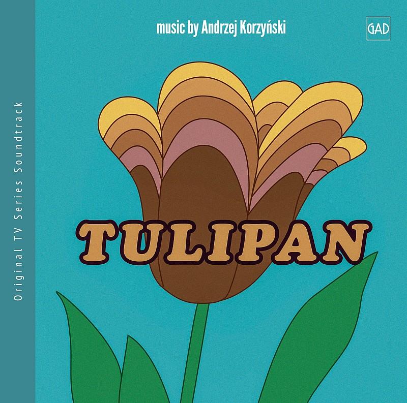 Tulipan