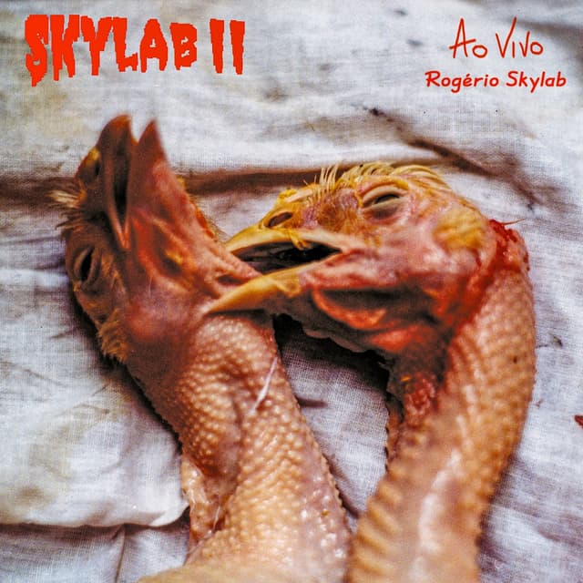 Album cover art for Skylab II - Ao Vivo