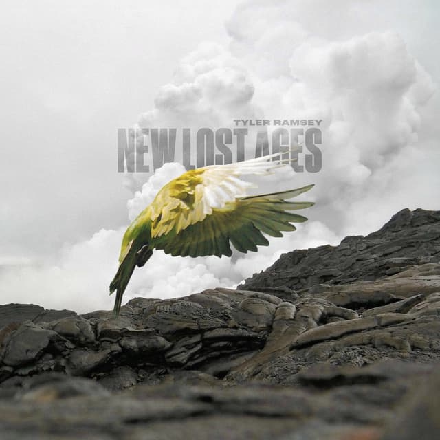 Album cover art for New Lost Ages