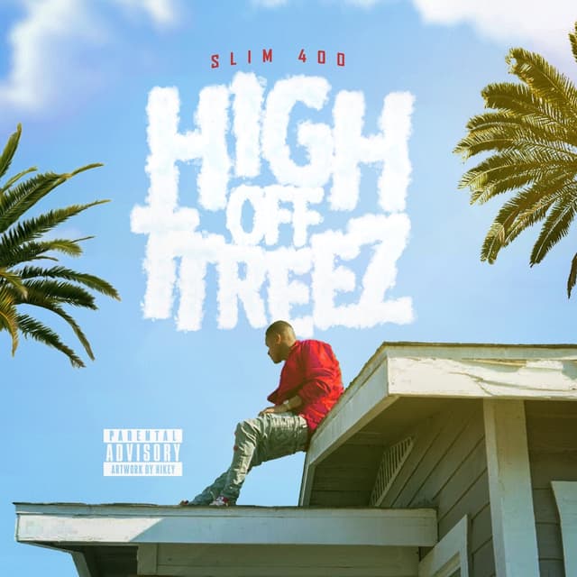 Album cover art for High Off TTreez