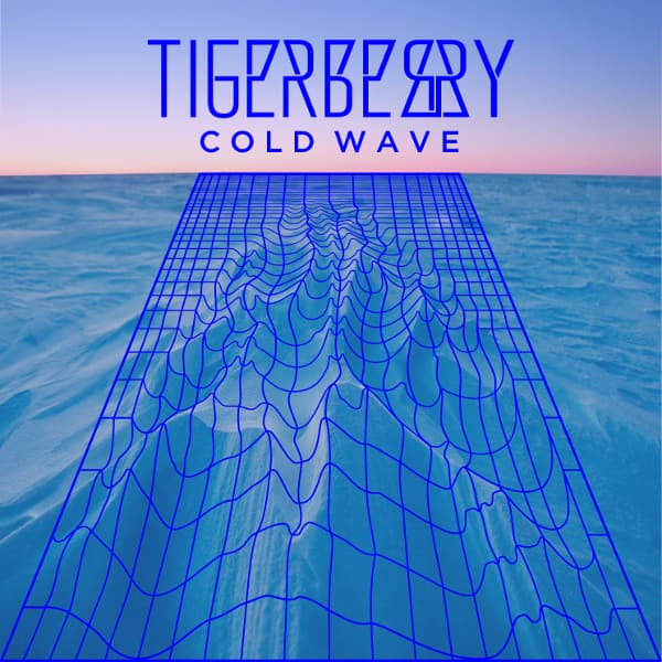 Album cover art for Cold Wave