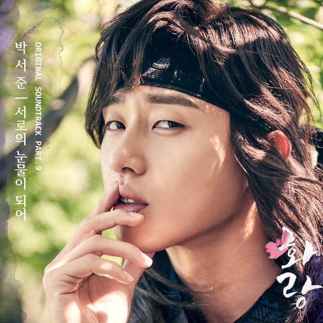 Album cover art for Hwarang, Pt. 9
