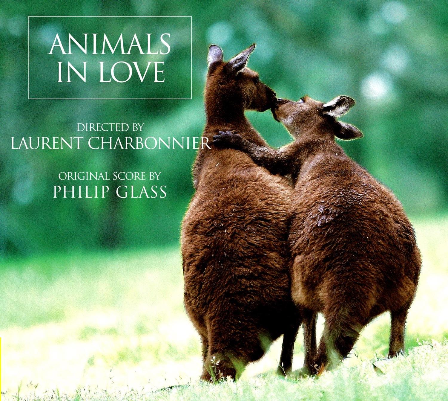 Animals in Love [B.O.F.]